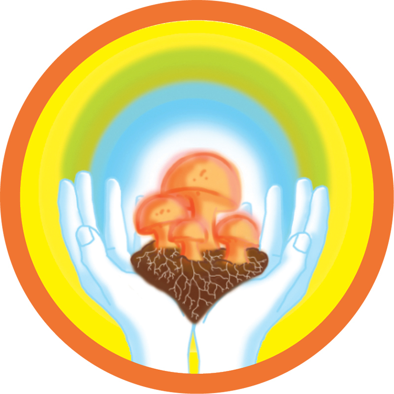 2015-mt-logo-haende-rund-2