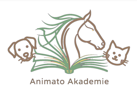 animato_akademie