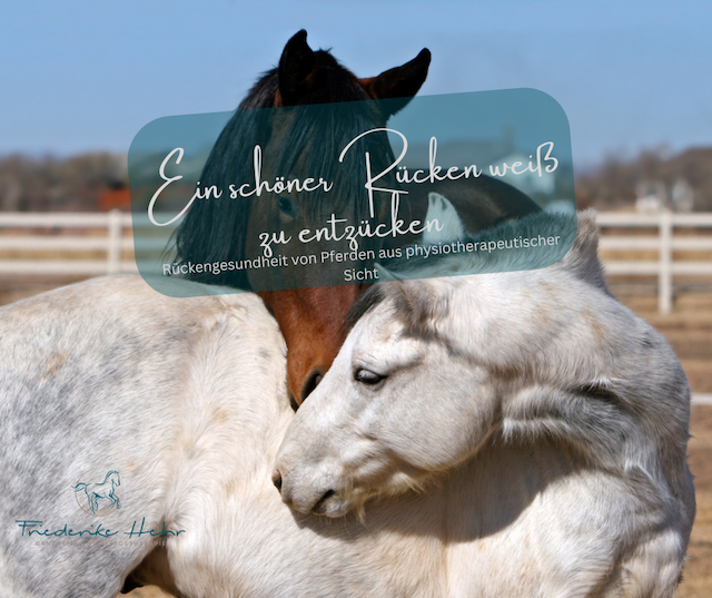 ein-schoener-ruecken-weiss-zu-entzuecken-2