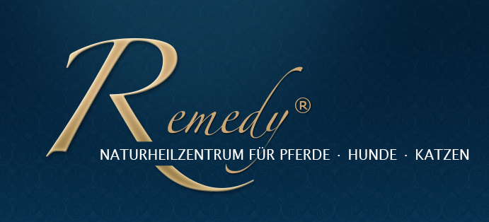 remedy-nhz-logo